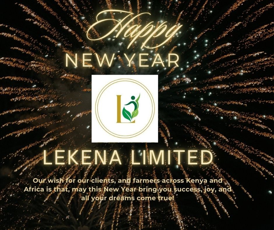 Gold Black Elegant Fireworks Happy New Year Facebook Post - 1