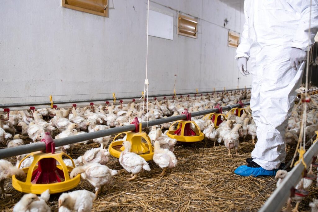 farm biosecurity